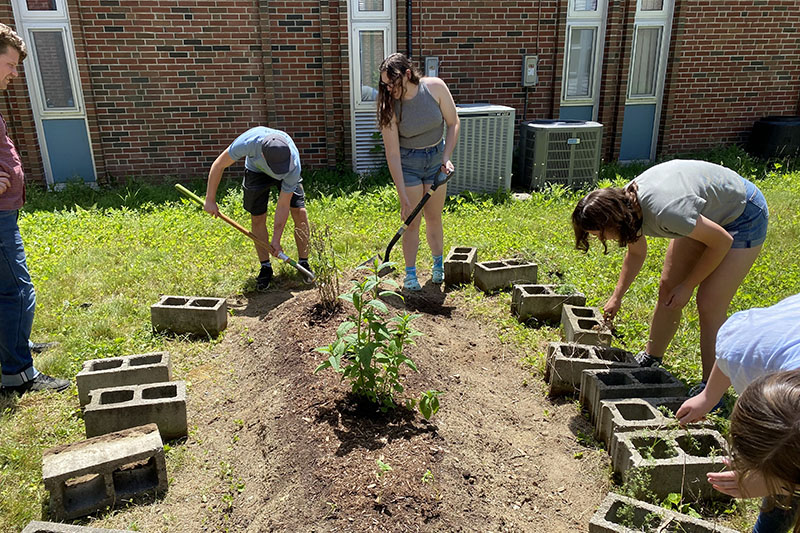 Students working in a garden